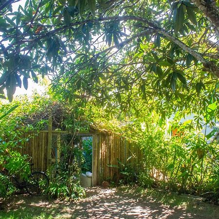 Petit Quadrado No Melhor Lugar De Trancoso Zewnętrze zdjęcie